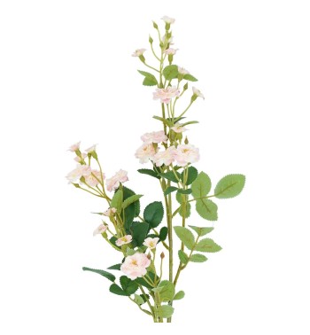 Rametto con Rose Selvatiche Disponibile in 3 Colori