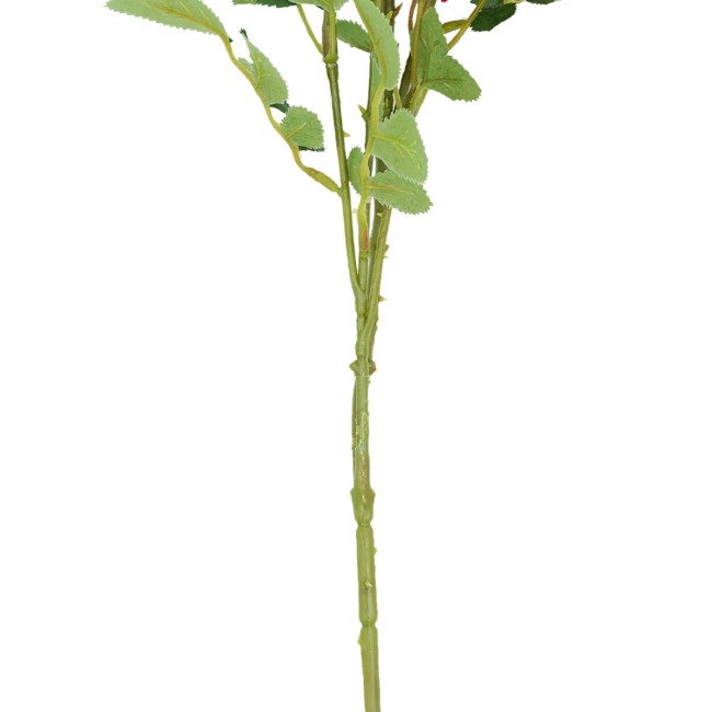 Rametto con Rose Selvatiche Disponibile in 3 Colori