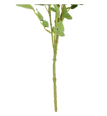 Rametto con Rose Selvatiche Disponibile in 3 Colori