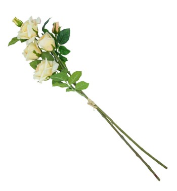 Fascio di Rose e Boccioli H.75 cm