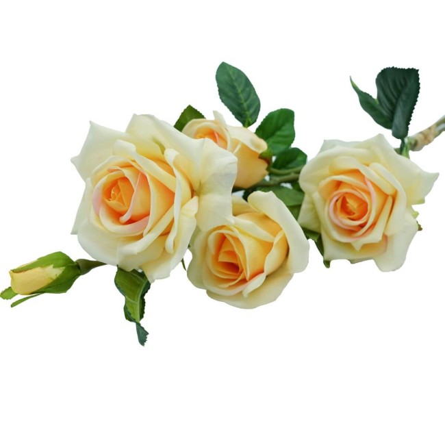 Fascio di Rose e Boccioli H.75 cm