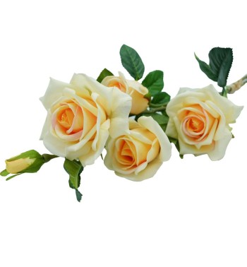 Fascio di Rose e Boccioli H.75 cm