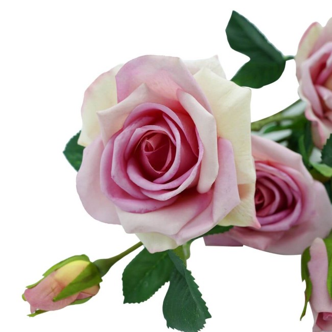 Fascio di Rose e Boccioli H.75 cm