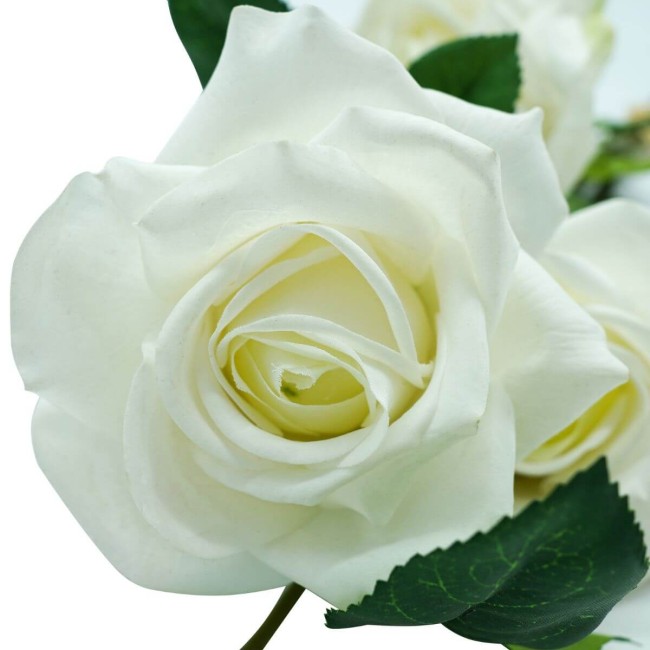 Fascio di Rose e Boccioli H.75 cm