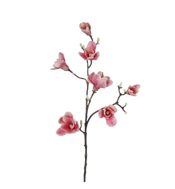 Ramo di Magnolie D.15xH.95 cm