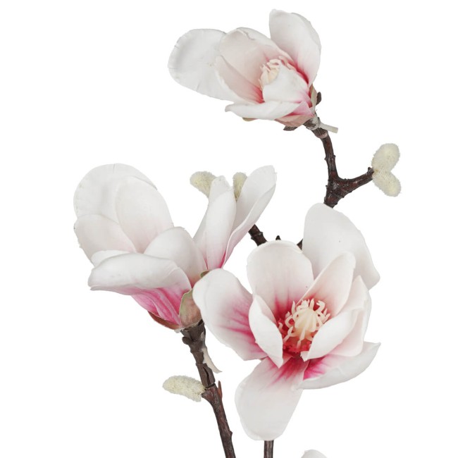 Ramo di Magnolie D.15xH.95 cm