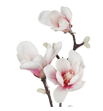 Ramo di Magnolie D.15xH.95 cm