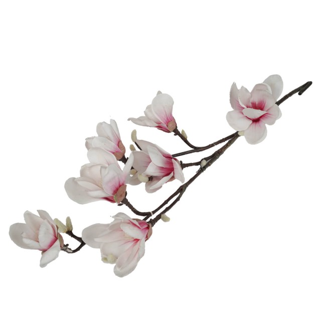 Ramo di Magnolie D.15xH.95 cm