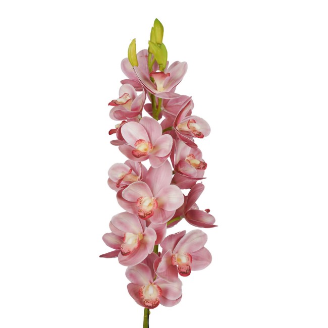 Ramo di 30 Magnolie D.7xH.82 cm