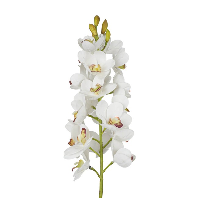 Ramo di 30 Magnolie D.7xH.82 cm