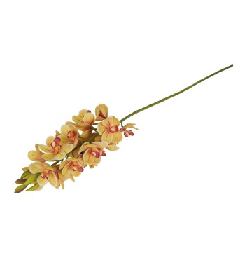 Ramo di 30 Magnolie D.7xH.82 cm