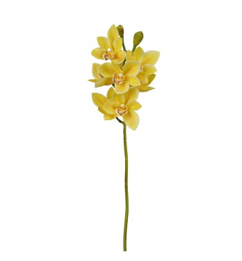 Ramo di 7 Lisimachie D.10xH.70 cm