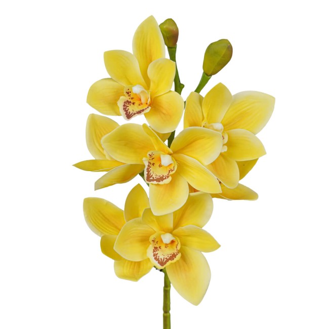 Ramo di 7 Lisimachie D.10xH.70 cm