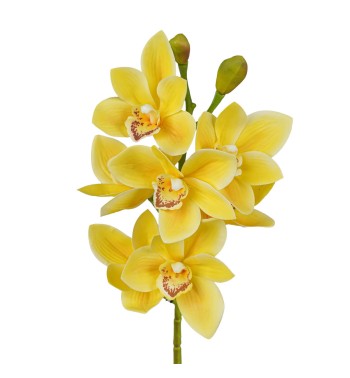 Ramo di 7 Lisimachie D.10xH.70 cm