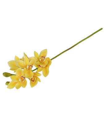 Ramo di 7 Lisimachie D.10xH.70 cm