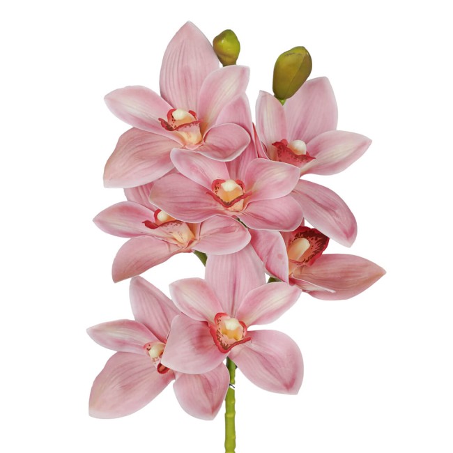 Ramo di 7 Lisimachie D.10xH.70 cm