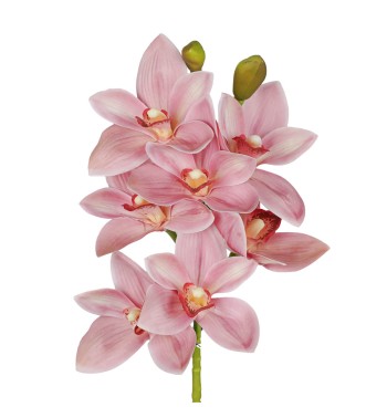 Ramo di 7 Lisimachie D.10xH.70 cm