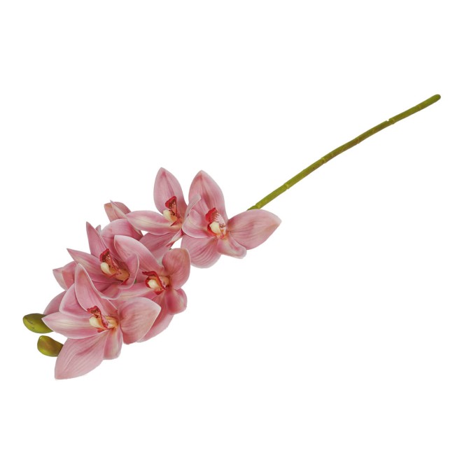 Ramo di 7 Lisimachie D.10xH.70 cm