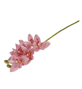 Ramo di 7 Lisimachie D.10xH.70 cm