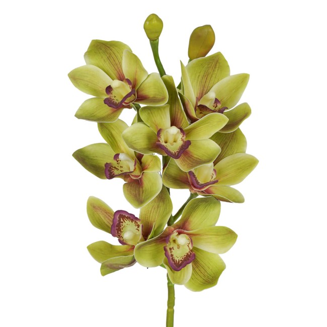 Ramo di 7 Lisimachie D.10xH.70 cm