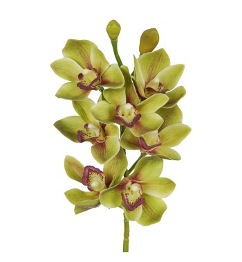 Ramo di 7 Lisimachie D.10xH.70 cm