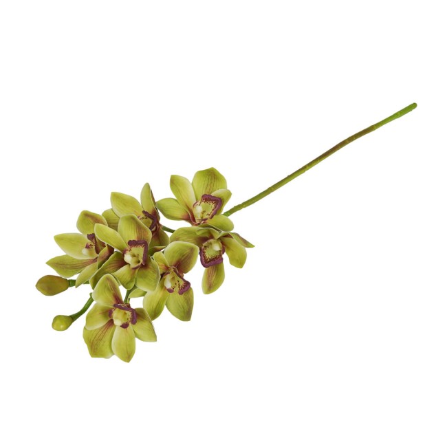 Ramo di 7 Lisimachie D.10xH.70 cm