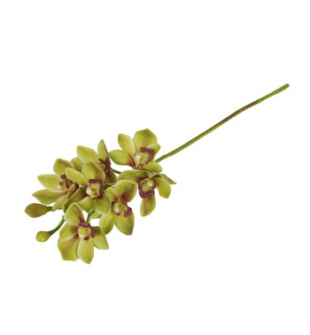 Ramo di 7 Lisimachie D.10xH.70 cm