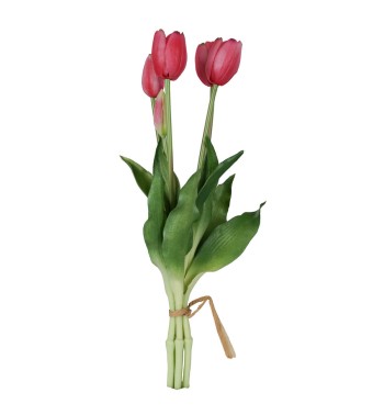 Fascio di 5 Tulipani H.39 cm