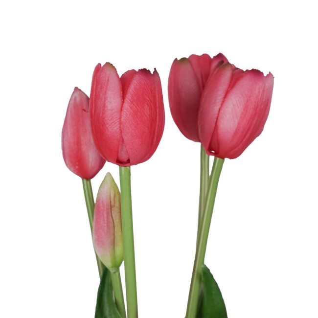 Fascio di 5 Tulipani H.39 cm