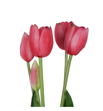 Fascio di 5 Tulipani H.39 cm