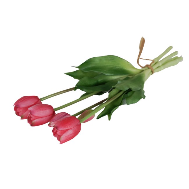 Fascio di 5 Tulipani H.39 cm