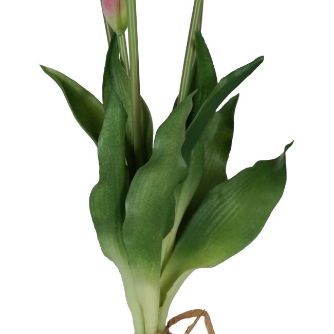 Fascio di 5 Tulipani H.39 cm
