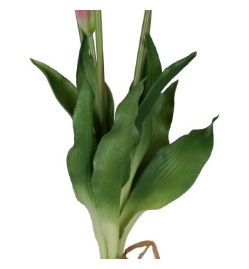 Fascio di 5 Tulipani H.39 cm