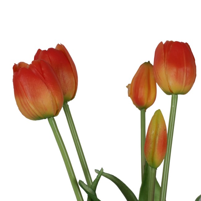 Fascio di 5 Tulipani H.39 cm