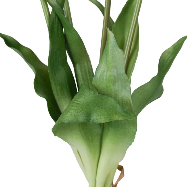 Fascio di 5 Tulipani H.39 cm