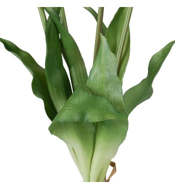 Fascio di 5 Tulipani H.39 cm