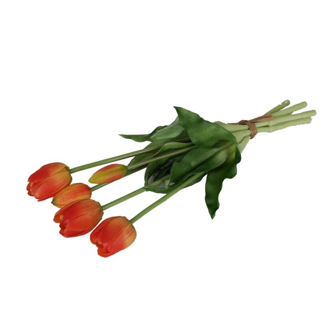 Fascio di 5 Tulipani H.39 cm