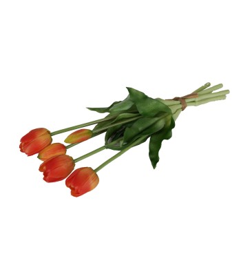 Fascio di 5 Tulipani H.39 cm
