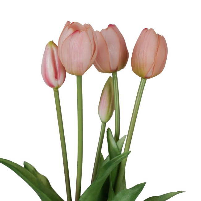 Fascio di 5 Tulipani H.39 cm