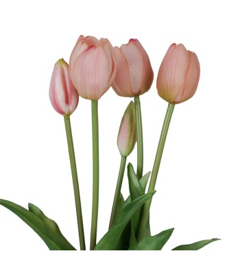 Fascio di 5 Tulipani H.39 cm