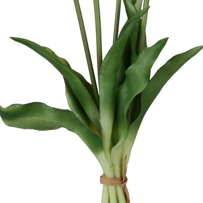 Fascio di 5 Tulipani H.39 cm