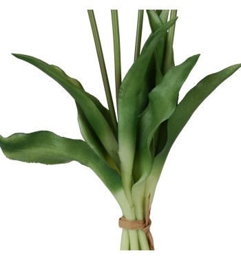 Fascio di 5 Tulipani H.39 cm