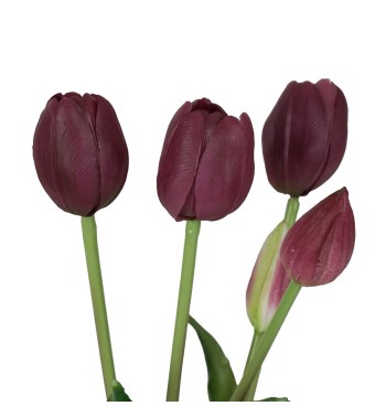 Fascio di 5 Tulipani H.39 cm