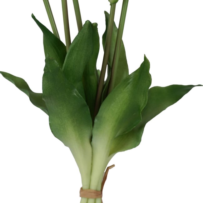 Fascio di 5 Tulipani H.39 cm
