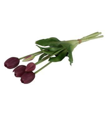 Fascio di 5 Tulipani H.39 cm