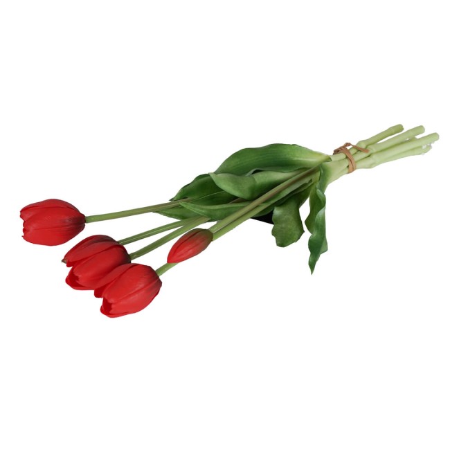 Fascio di 5 Tulipani H.39 cm