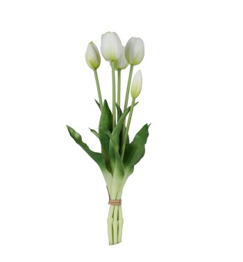Fascio di 5 Tulipani H.39 cm