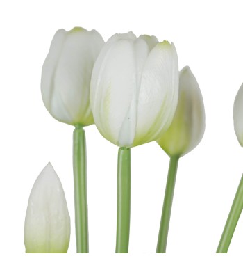 Fascio di 5 Tulipani H.39 cm