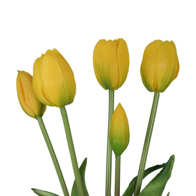 Fascio di 5 Tulipani H.39 cm