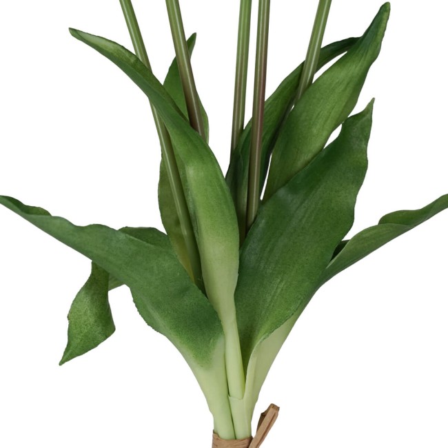 Fascio di 5 Tulipani H.39 cm